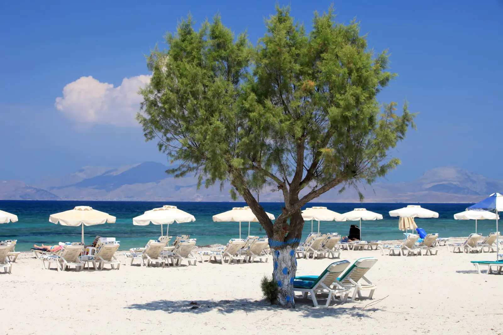 7 places to visit in Kos - Gallery Image 6